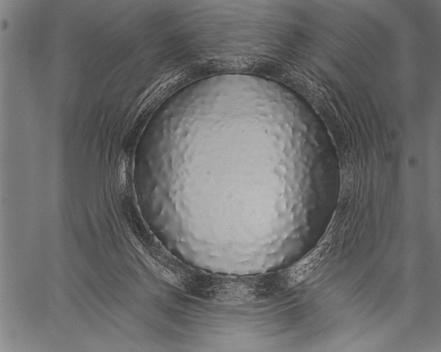 X0000057100166200509301626