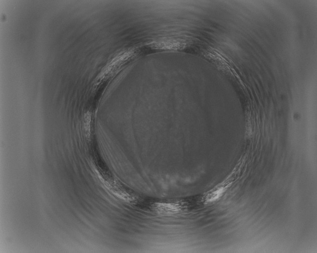 X0000057100167200509301626