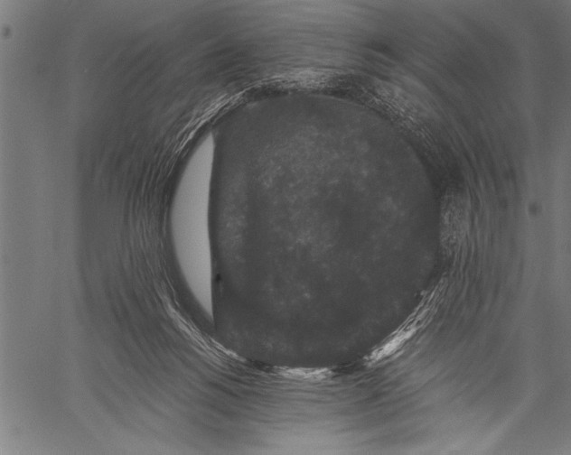 X0000057100168200509301626