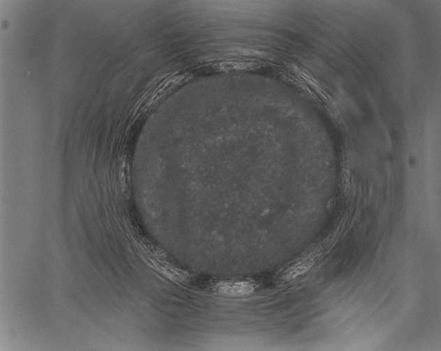 X0000057100169200509301626