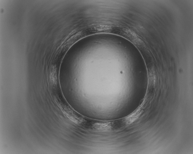 X0000057100170200509301626