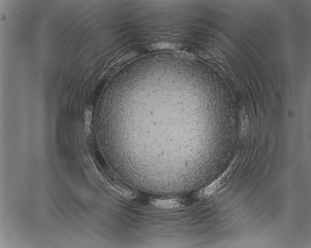 X0000057100171200509301626