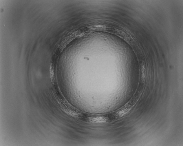 X0000057100173200509301626