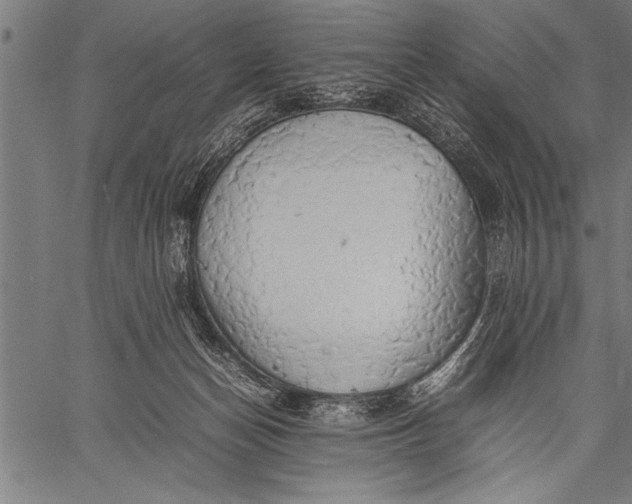 X0000057100174200509301626