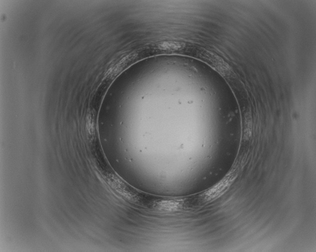 X0000057100176200509301626