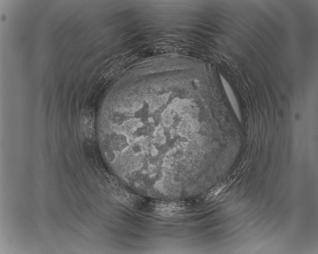 X0000057100177200509301626