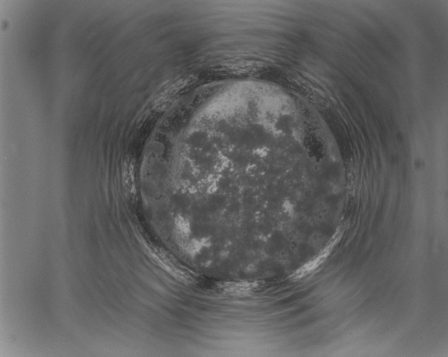 X0000057100182200509301626