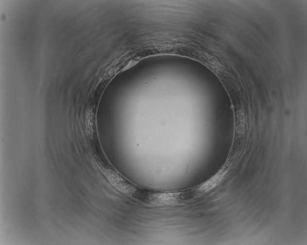 X0000057100184200509301626