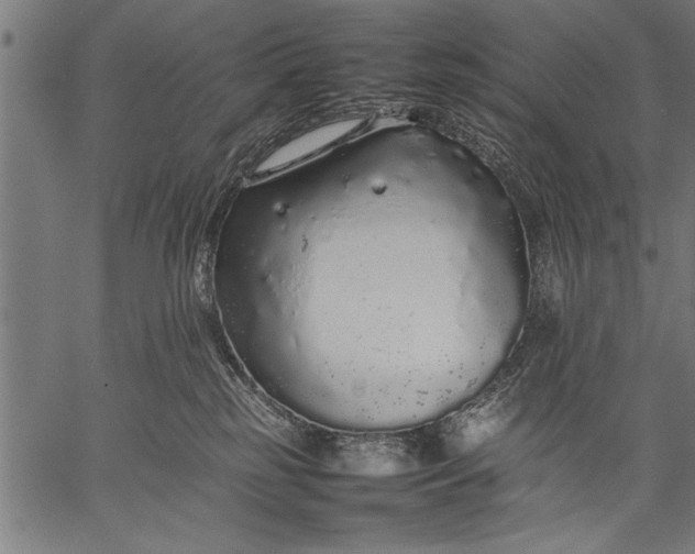 X0000057100185200509301626