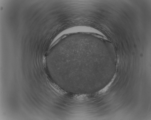 X0000057100186200509301626