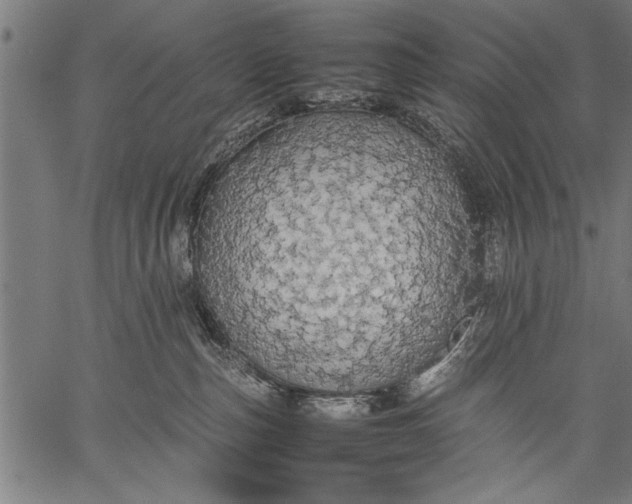 X0000057100187200509301626