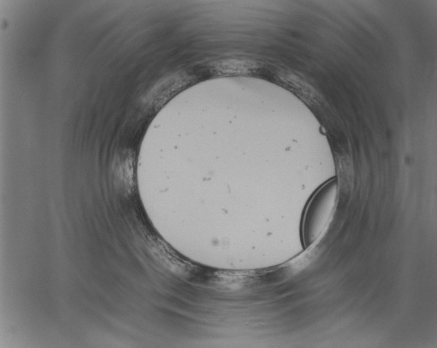 X0000057100190200509301626