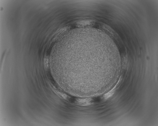 X0000057100191200509301627