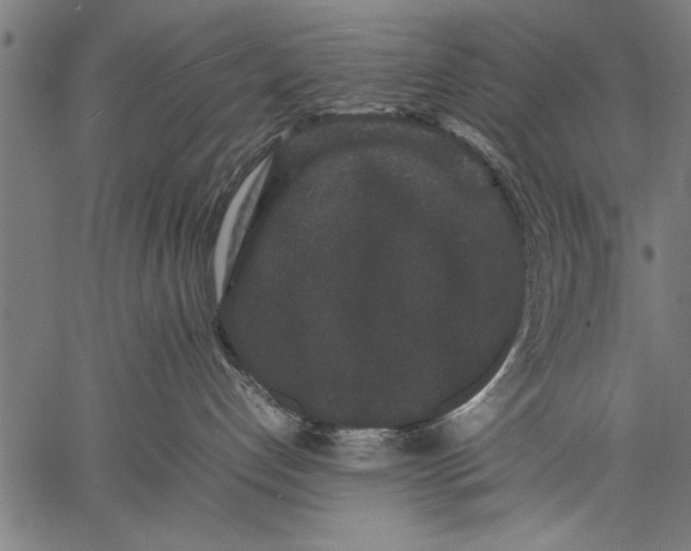 X0000057100192200509301627