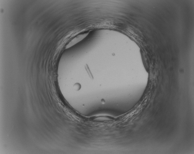 X0000057100193200509301626