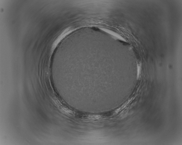 X0000057100195200509301626