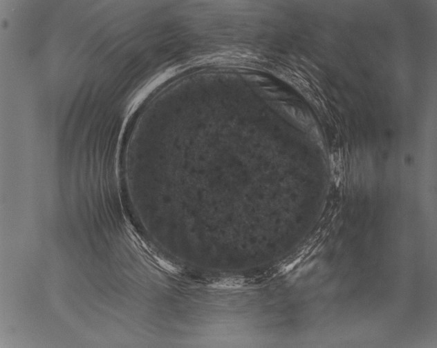 X0000057100196200509301626