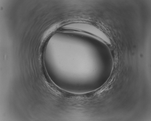 X0000057100197200509301626