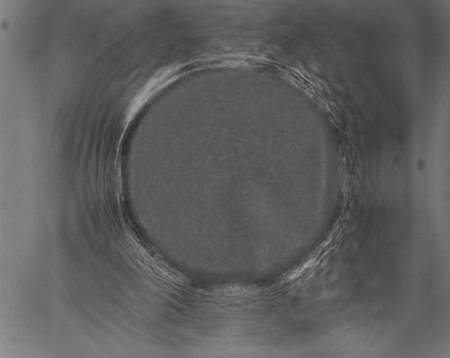 X0000057100198200509301626