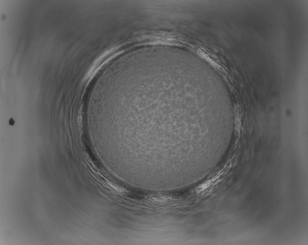 X0000057100199200509301626