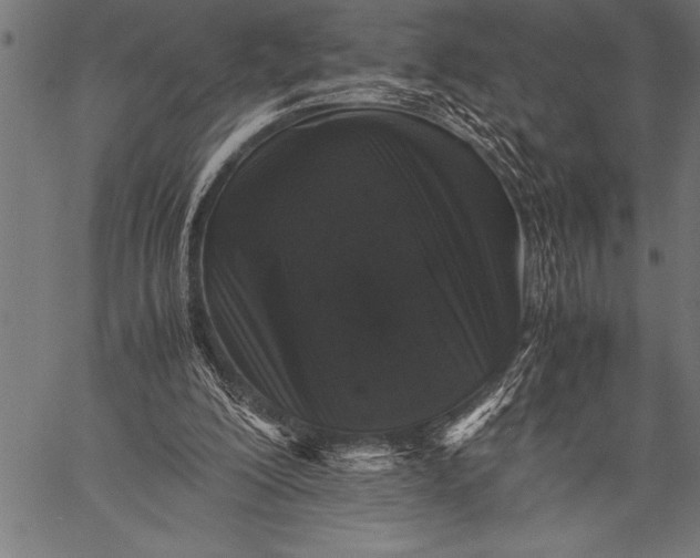 X0000057100200200509301626