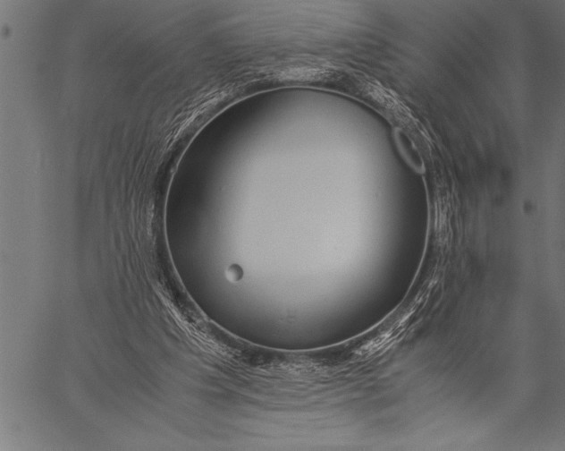 X0000057100201200509301626