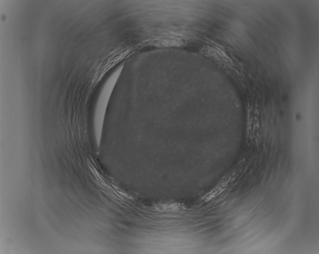 X0000057100202200509301626