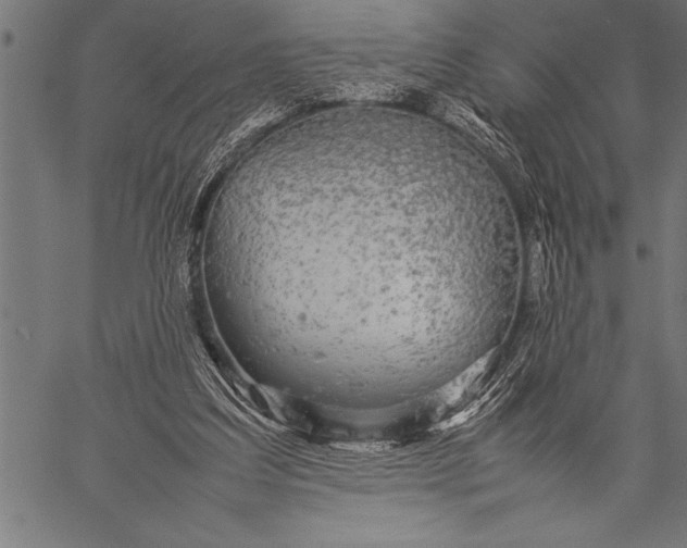 X0000057100203200509301626