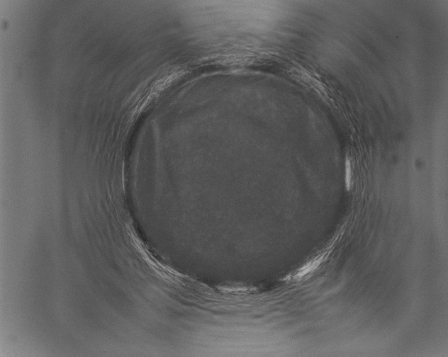 X0000057100205200509301626