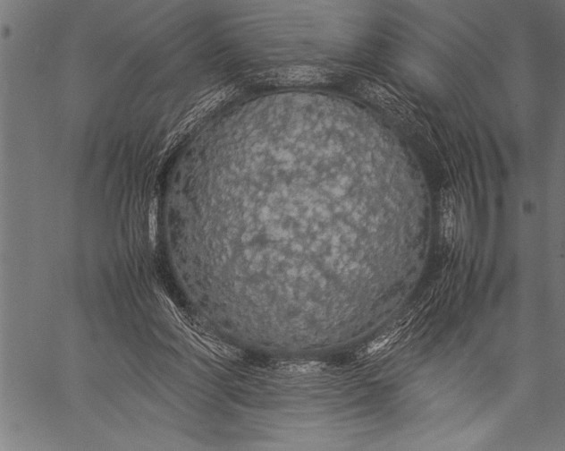 X0000057100206200509301626