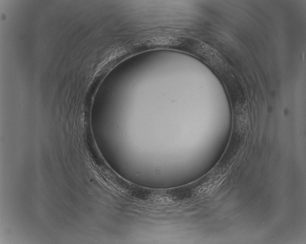 X0000057100207200509301625