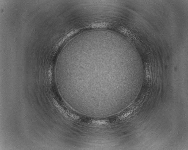 X0000057100208200509301625