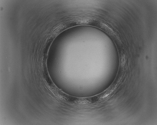 X0000057100209200509301625