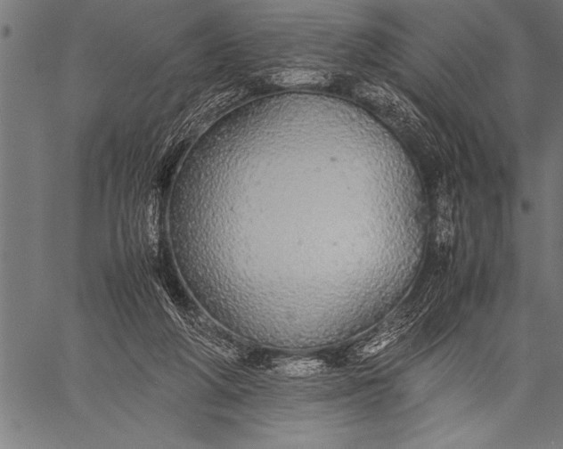 X0000057100210200509301625