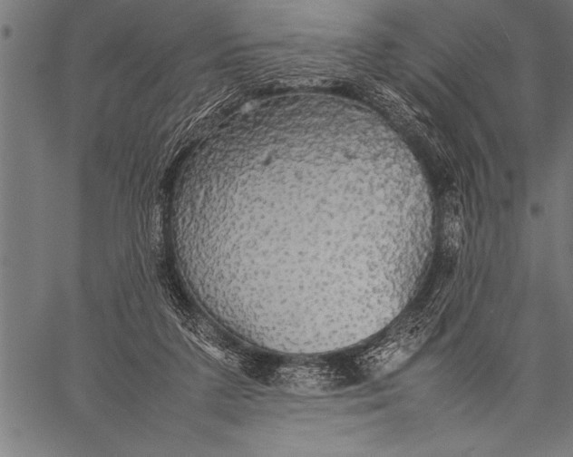 X0000057100211200509301625