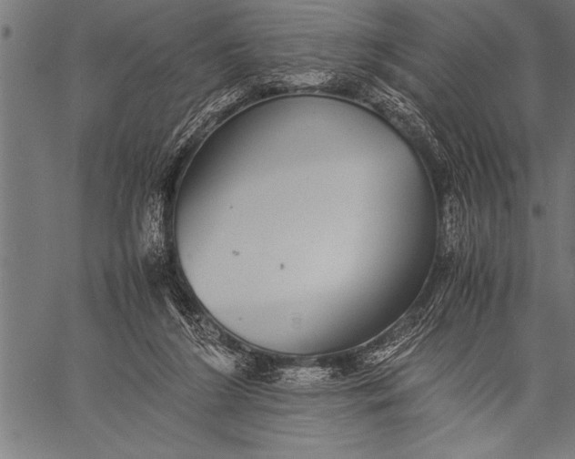 X0000057100212200509301625