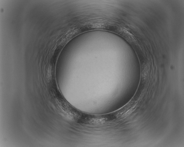 X0000057100213200509301625