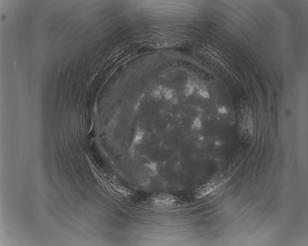 X0000057100214200509301625