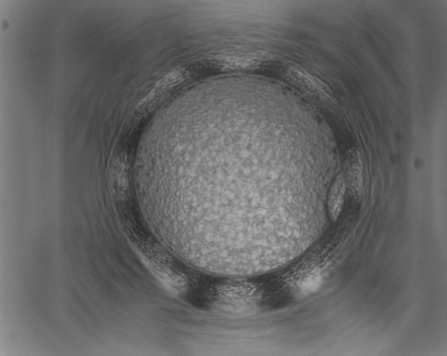 X0000057100215200509301625