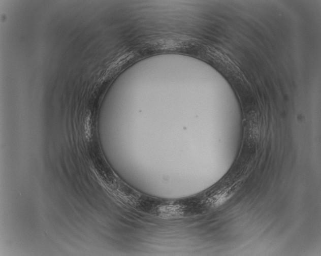 X0000057100216200509301625