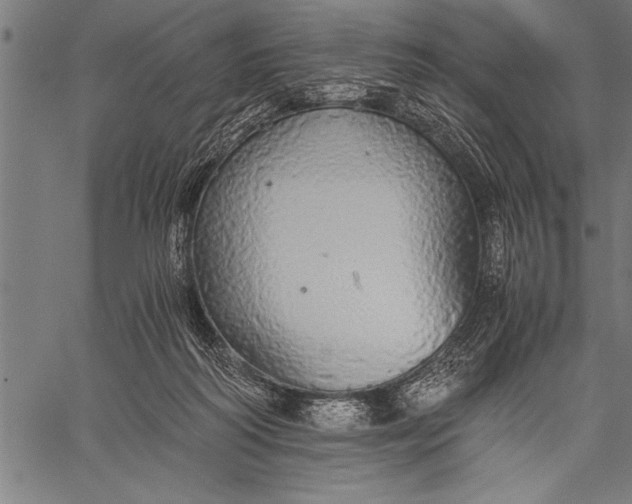 X0000057100218200509301625