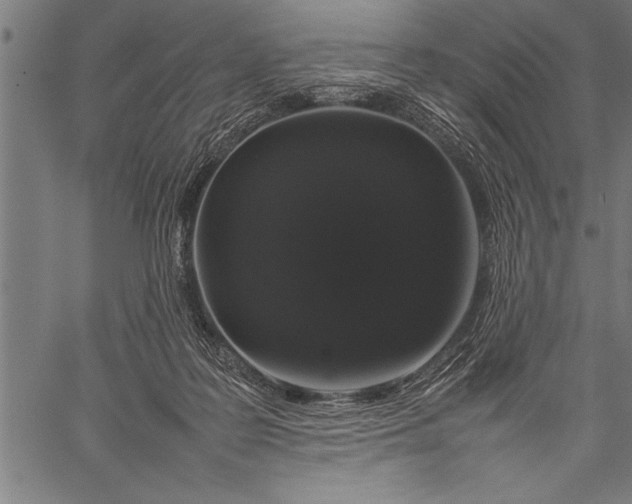 X0000057100219200509301625