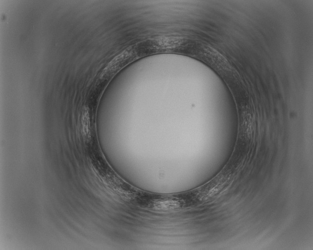 X0000057100220200509301625