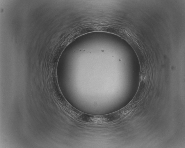 X0000057100221200509301625