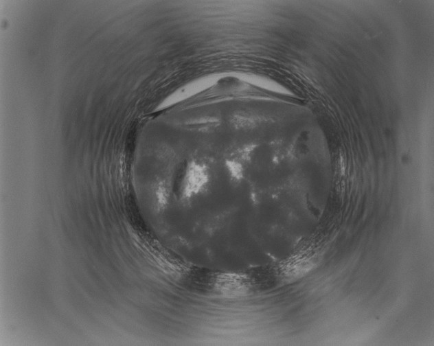 X0000057100222200509301625