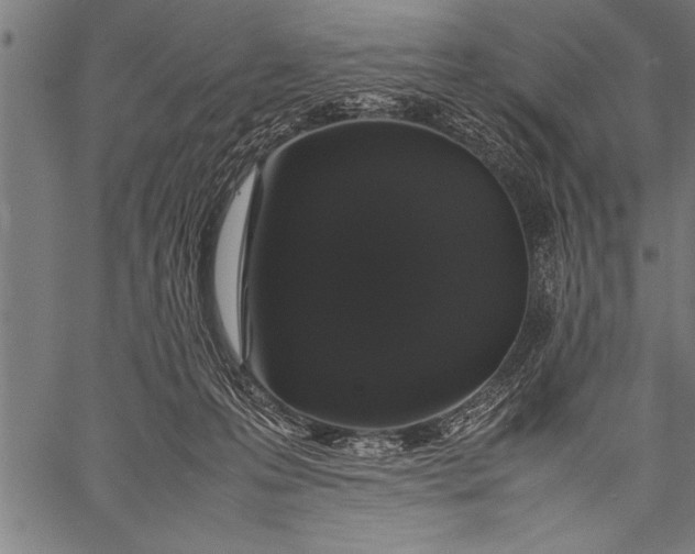 X0000057100223200509301625