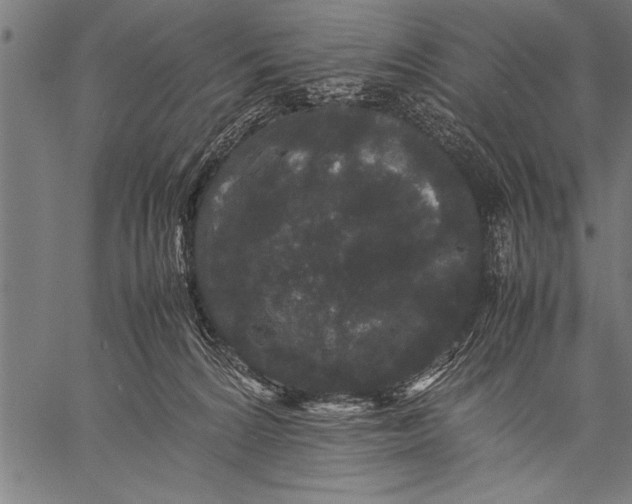 X0000057100224200509301625