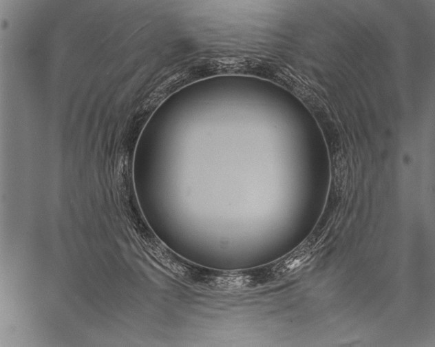 X0000057100225200509301625