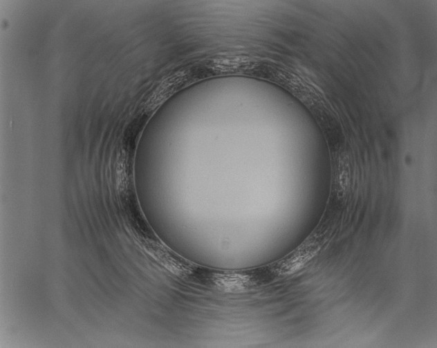 X0000057100226200509301625