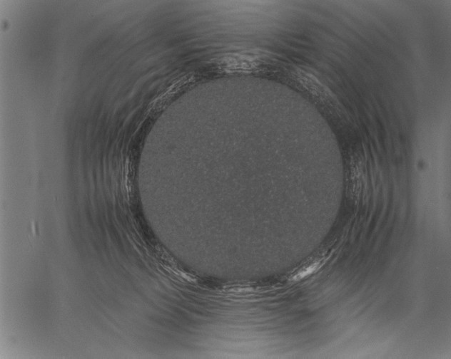 X0000057100228200509301625